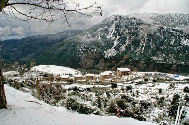 Koustenis Village Dimitsana Dış mekan fotoğraf