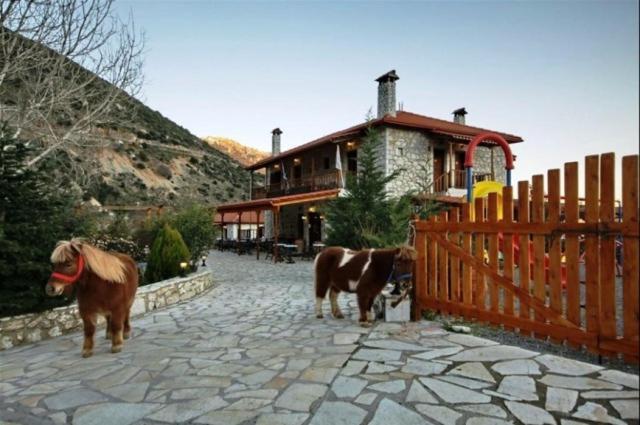 Koustenis Village Dimitsana Dış mekan fotoğraf